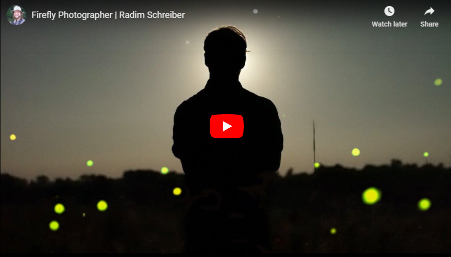 Firefly Photographer Captures The Magic of Fireflies - A Short Movie