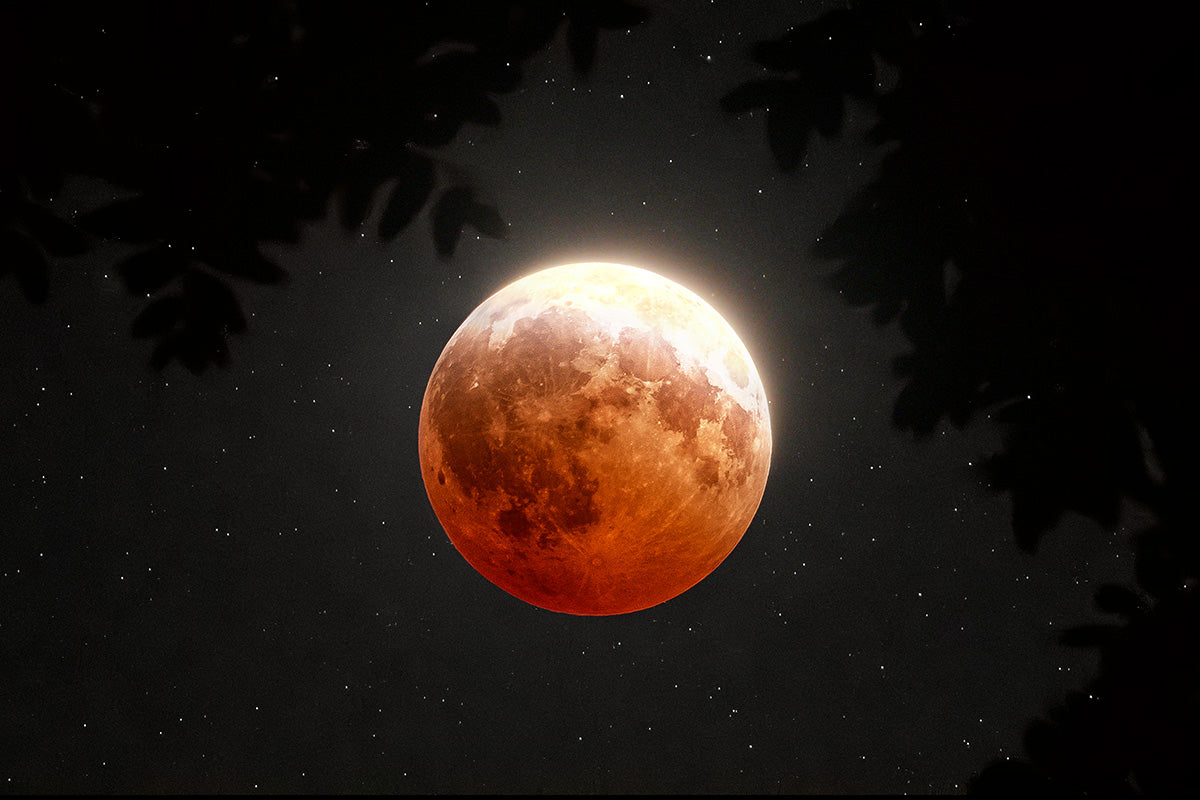 Lunar Eclipse