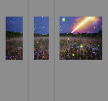 Load image into Gallery viewer, Bergamot Moon