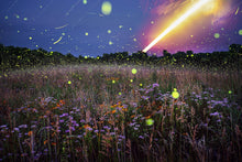 Load image into Gallery viewer, Bergamot Moon