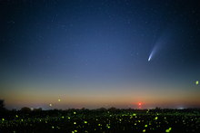 Load image into Gallery viewer, Comet NEOWISE