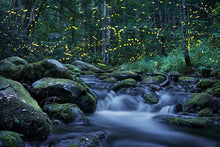 Load image into Gallery viewer, Singing Waterfall