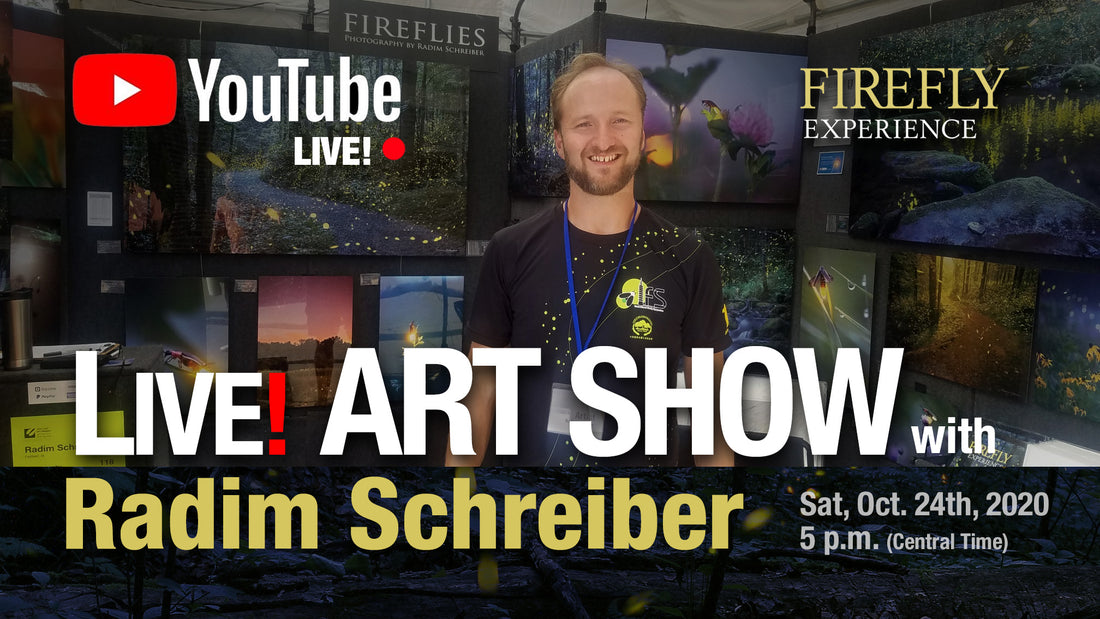 Virtual Art Show - Oct 24th 2020