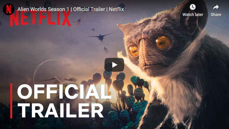 Radim Schreiber Films Fireflies for Netflix