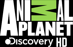 Radim Schreiber's firefly videos featured on Animal Planet