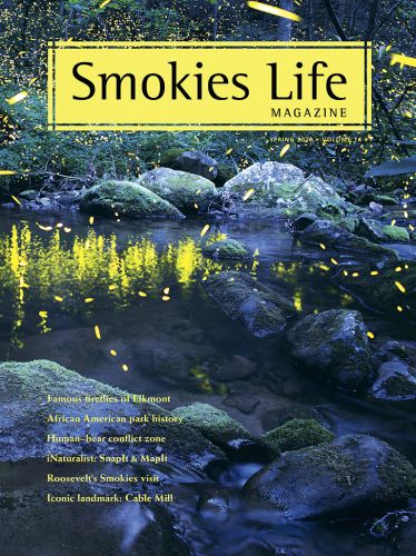 Radim Schreiber's firefly photos featured in the Smokies Life Magazine