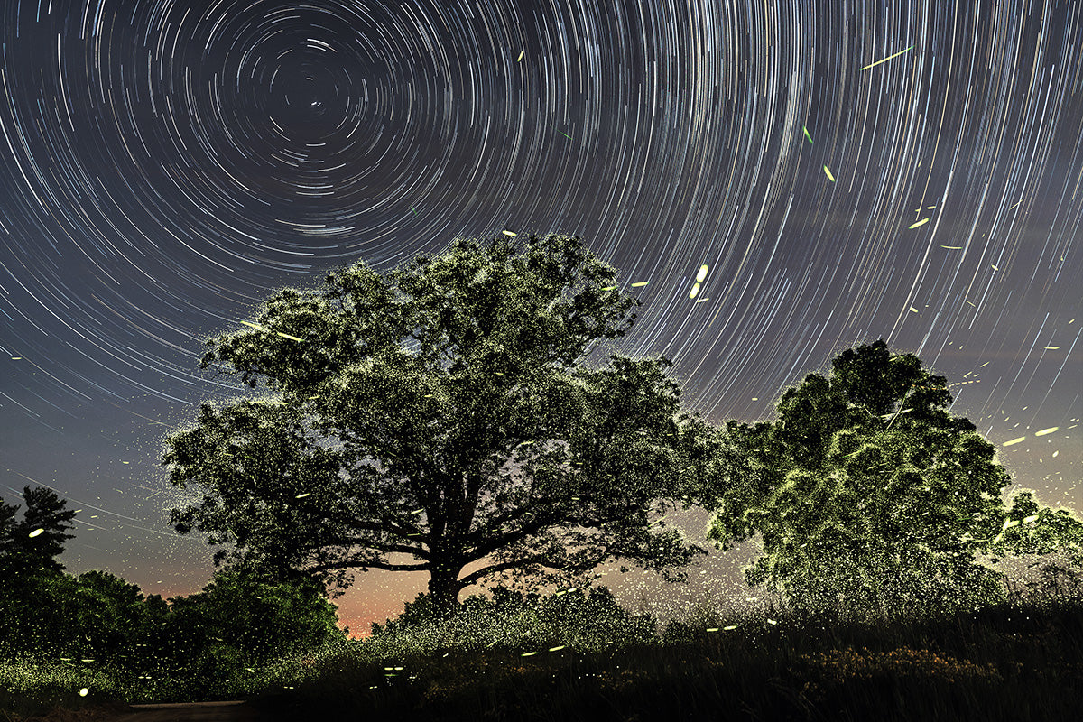 Orbital Consciousness