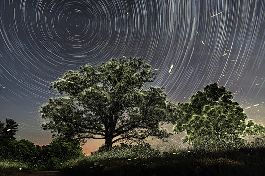 Orbital Consciousness