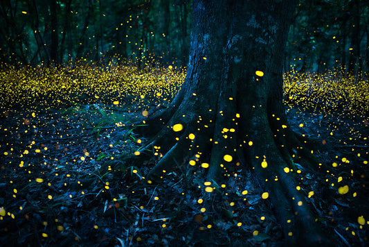 Center of the Galaxy