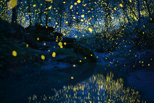 Full of Stars