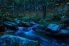 Load image into Gallery viewer, Stream of Thought