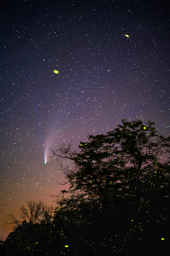 comet and tree