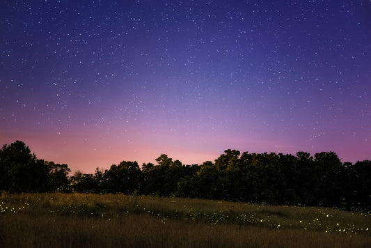 As Above so Below (CZ)