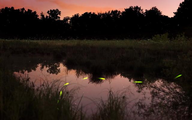 Pathway through the Night