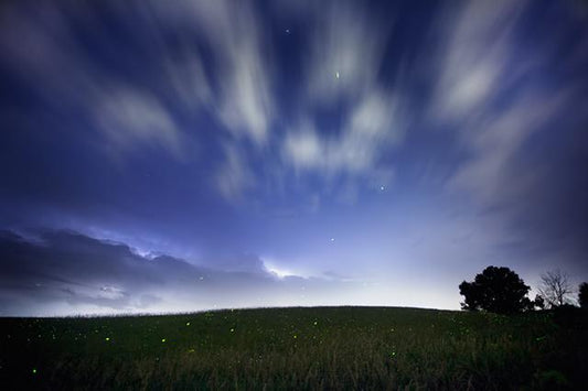 Summer Thunderstorm with Lighting Bugs